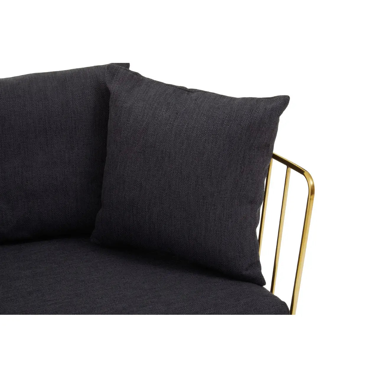 REGINA STUDIO Summer 2-Seater 4-Cushion Black Fabric Sofa with Gold Finish Stainless Steel Frame, 157 cm - Regina Luxury Interiors