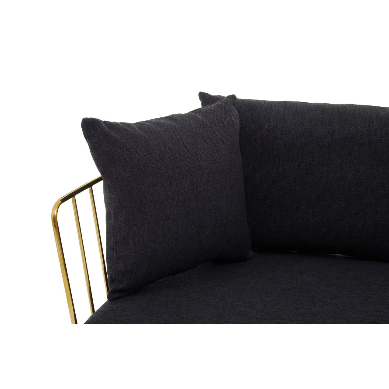 REGINA STUDIO Summer 2-Seater 4-Cushion Black Fabric Sofa with Gold Finish Stainless Steel Frame, 157 cm - Regina Luxury Interiors