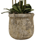 HILL INTERIORS Large White Orchid In Antique Stone Pot, 153cm/5ft tall 3