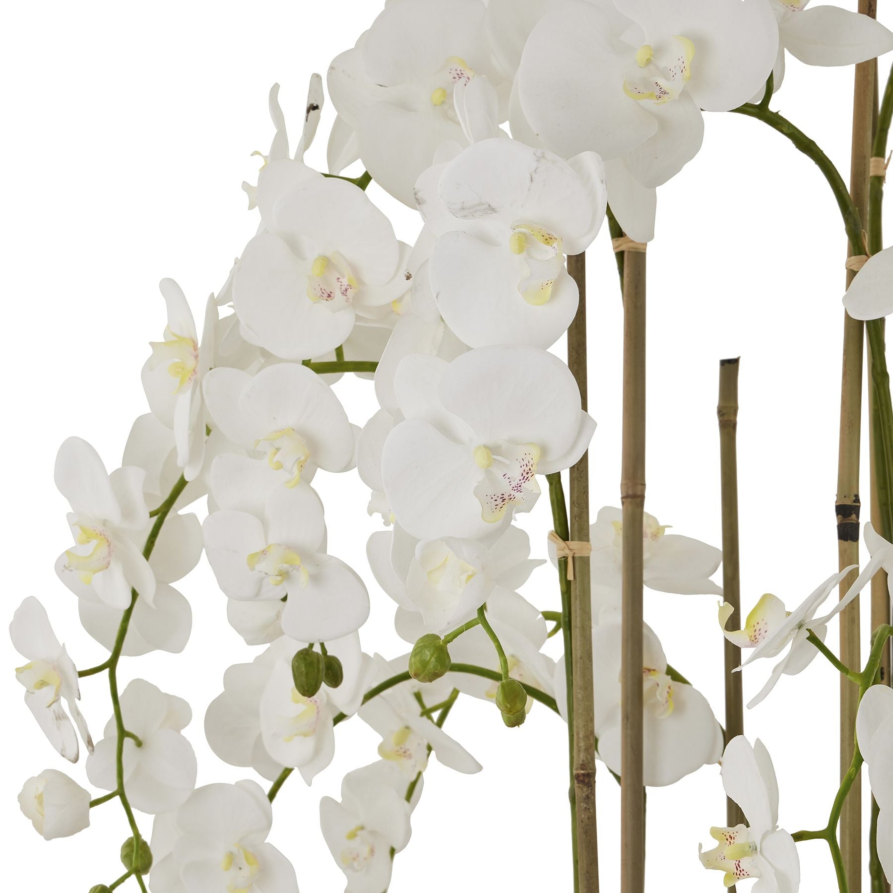 HILL INTERIORS Large White Orchid In Antique Stone Pot, 153cm/5ft tall 4