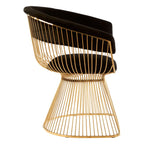 REGINA STUDIO Tulip | Black and Gold Fan Dining Chair | Velvet and Stainless Steel