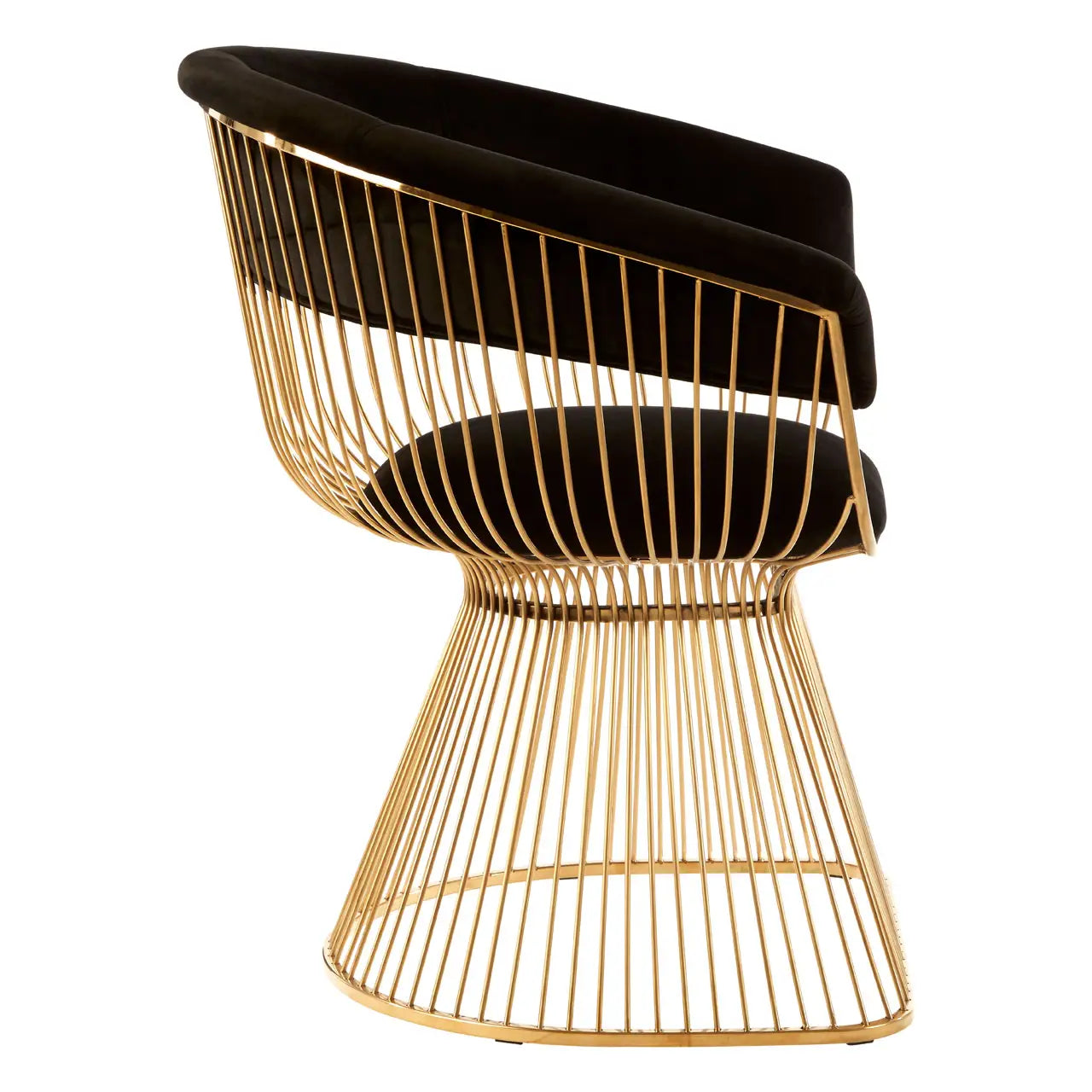 REGINA STUDIO Tulip | Black and Gold Fan Dining Chair | Velvet and Stainless Steel
