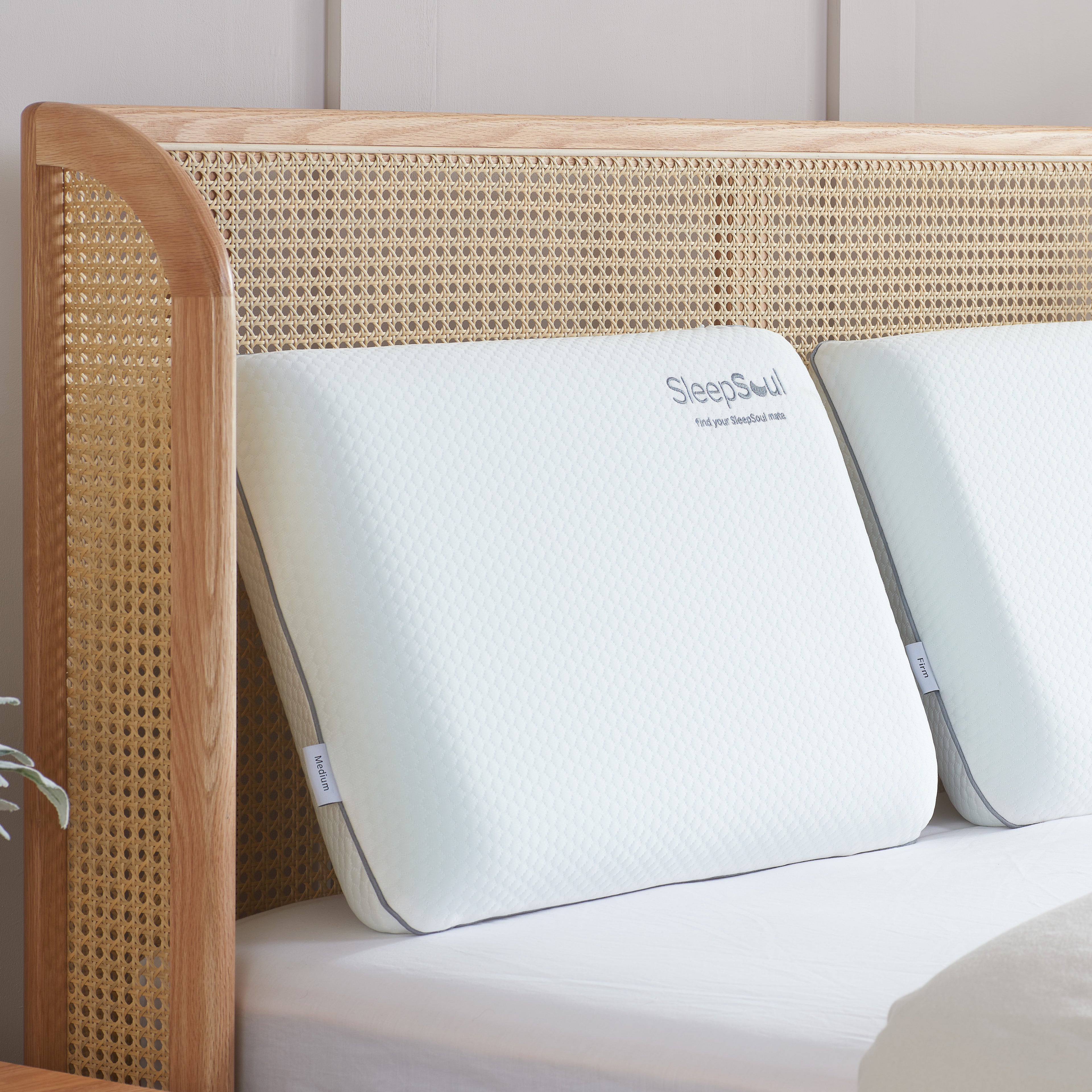 SLEEPSOUL Antibacterial Cool Touch Dual Pillow