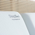 SLEEPSOUL Antibacterial Cool Touch Dual Pillow